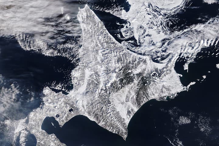 Japonya'da Kış Gripleri - NASA Bilimi