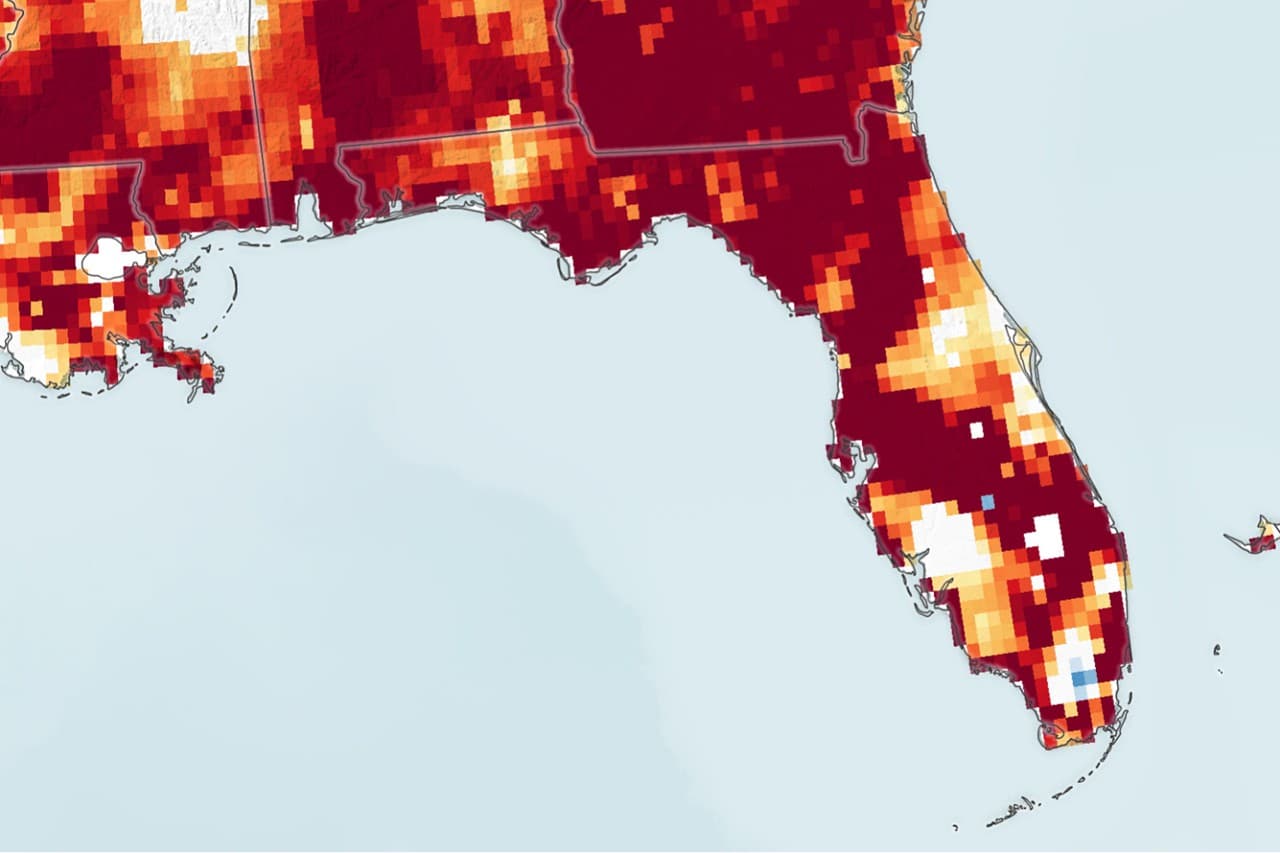 Kuraklık Parches Florida - NASA Bilimi