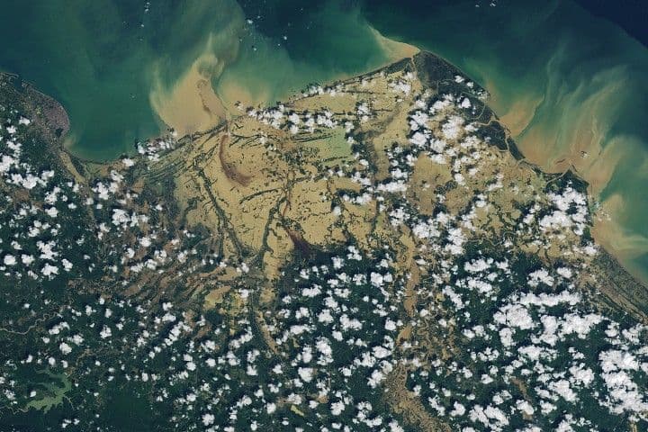 Senyar Sumatra Bataklığı - NASA Bilimi