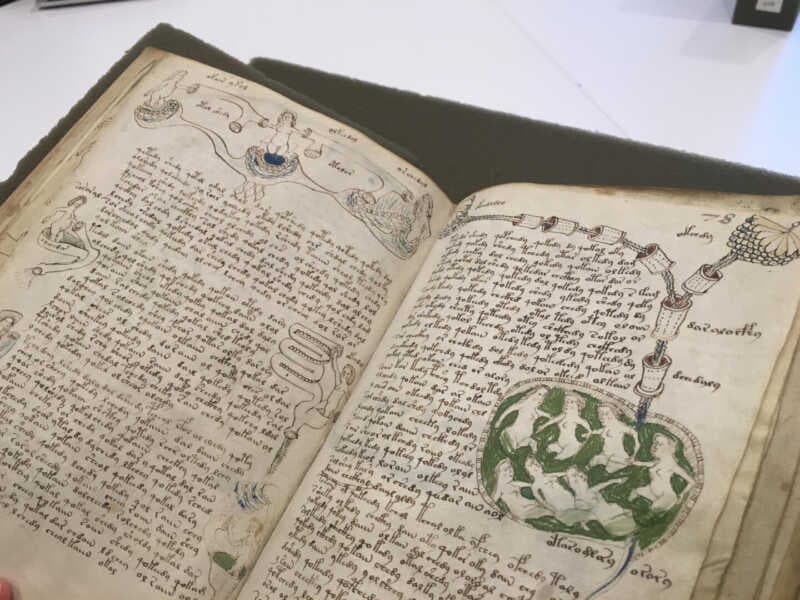 Voynich El Yazması