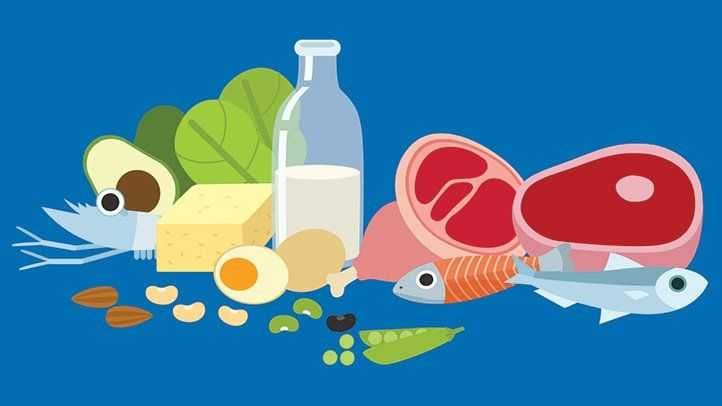 Hayvansal ve Bitki Bazlı Proteinler Nelerdir?