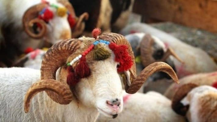 Kurban Bayramınız Kutlu Olsun