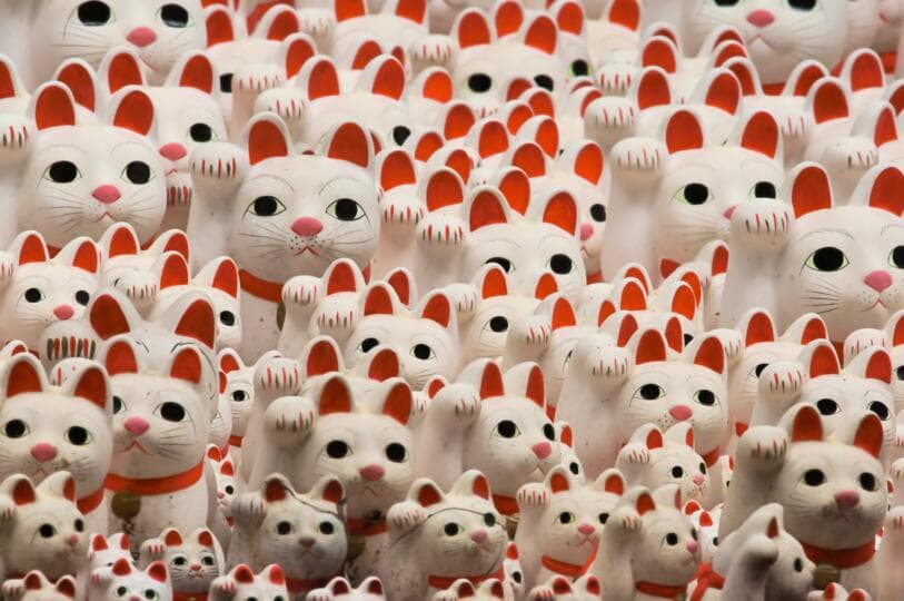 Maneki Neko: Japonya'nın Şans Kedileri