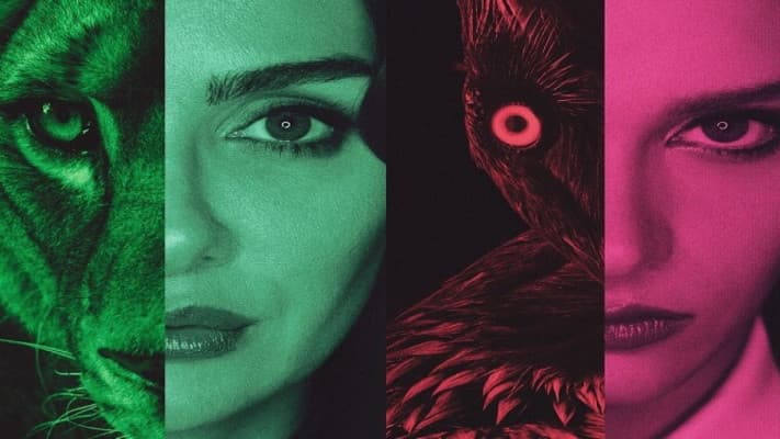 Netflix Popüleri: Kuş Uçuşu