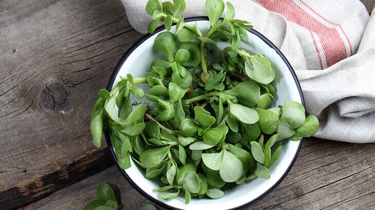16 Kalori İçeren Besin Dolu Lezzet: Semizotu