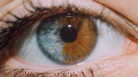 Gözlerimiz Bize Ne Anlatmak İstiyor?