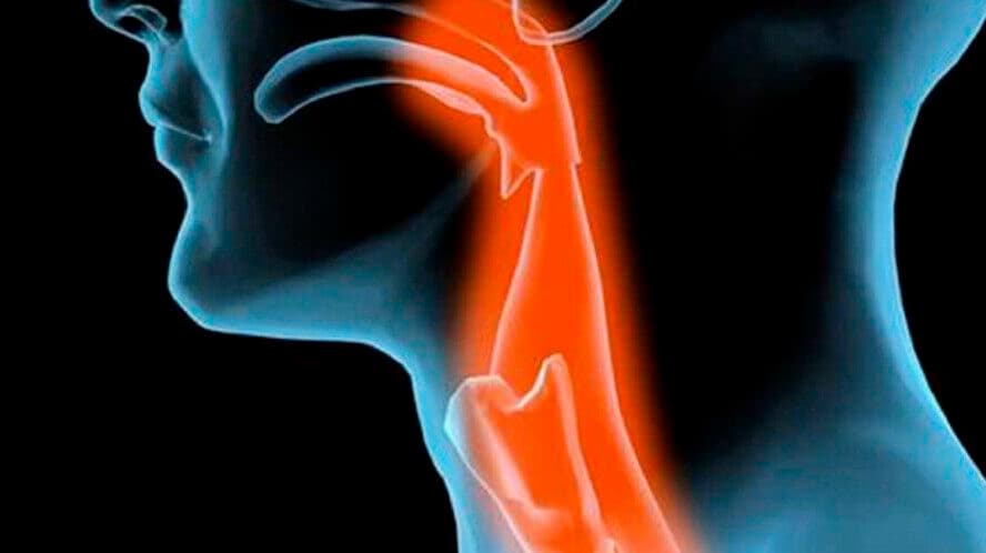 Disfaji Hepimizin Başına Gelebilir, Disfaji ne demek? Disfaji belirtileri nelerdir?