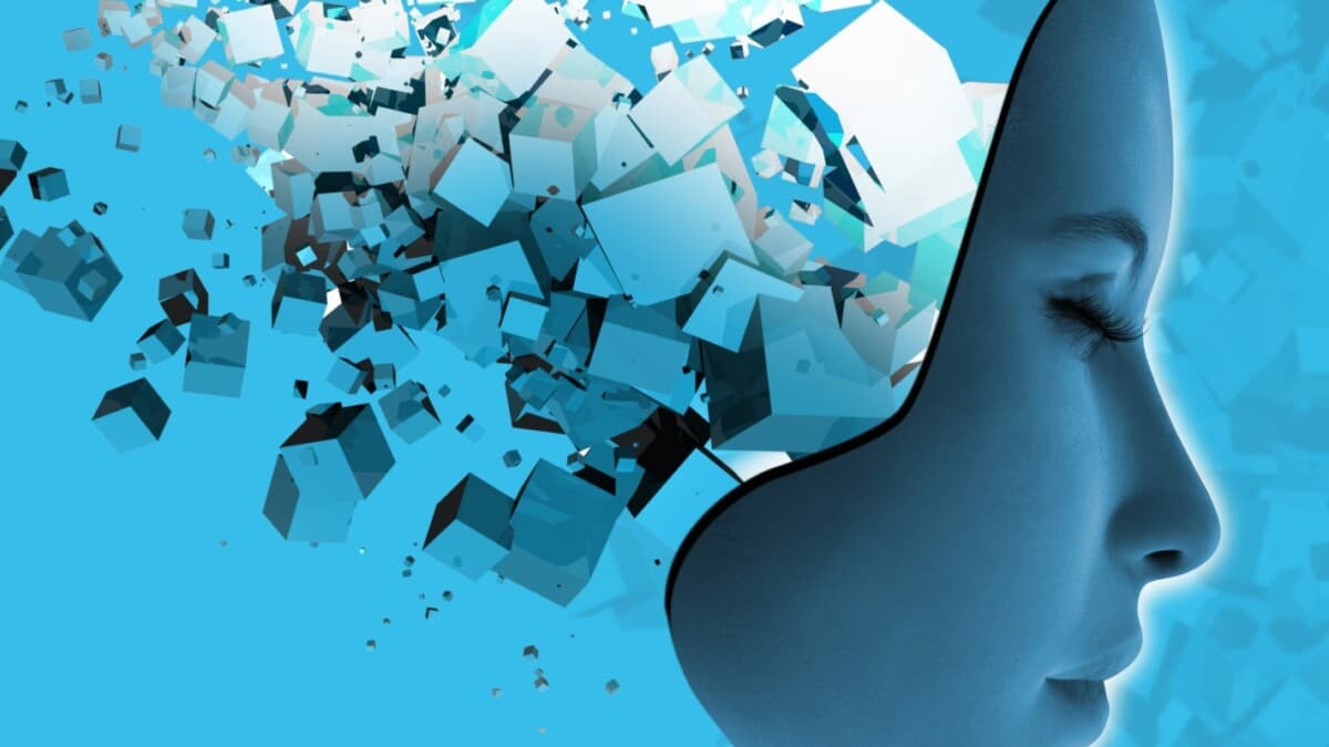 Anılar Nasıl Oluşur ve Nerede Saklanır?